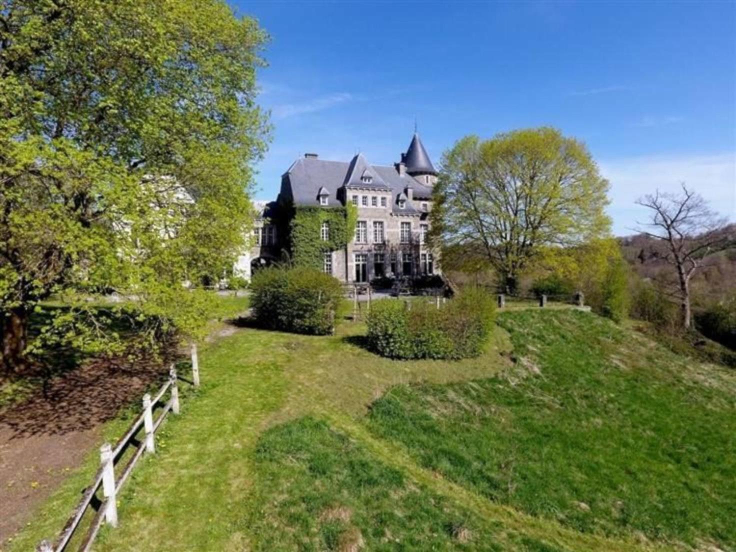 Le Petit Chateau De Blier Villa Erezee Exterior photo